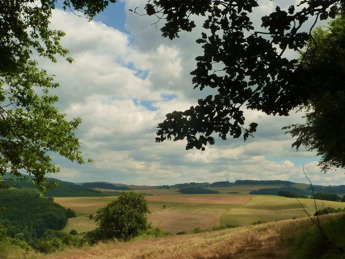 Willa Ferienhaus Moscheltal Waldgrehweiler Zewnętrze zdjęcie